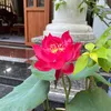 chunhung248