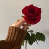 ra_do491