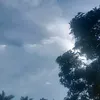 mjgultiano7