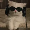 bocillkematiann_