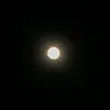 moonchiiro