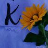 krvan4