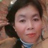 accfree2023