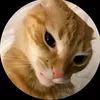 leo_wa_wi