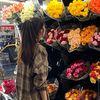 hania_sd