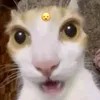 brina_is_skibidisigma