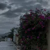 si_.ir