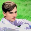 yarhussainwall11