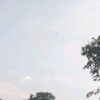 xinz245