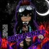 sonyaslhiks_love