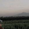 _bagusanakbaik_
