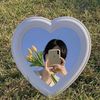 selvi_imup03