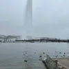 mehdisouad1