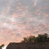 rendra_dra55