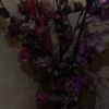 user5078103056180