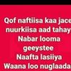 nasro.muuse89