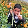 rafsanhossain1203
