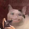 toibisilayroi
