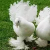 user4321013006574