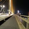 ducxuan1980
