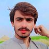 tariqhussainmagsi786