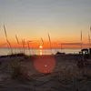 milo_viitanen
