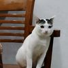 susiherlina74