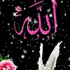user6212119202427
