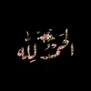 zmmz66