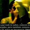 ismael_dmg