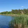 cot3939222