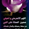 noor.ali2996