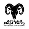 Aheer Goat Farm ❣️