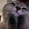 thisuser_unavailable017