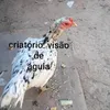 arielton.moreira