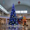 araz.jhon