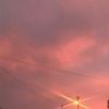 sofi_2013_22