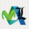 amlnews6