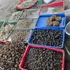 tinhnguyen852019