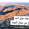 ahmedaflatoon1977m