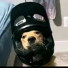 dav3onv