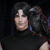 featherinekis