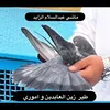 hn_1ll