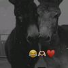 radwa.mohammed4919