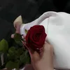 هـبَوو 🦋✨