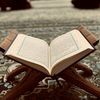 ahmedabdo1275