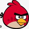 angry_bird_cult