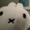 sannie791