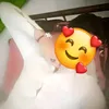 sulaimanonlylove