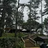 centellaofficial1